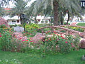 FLAMINGO BEACH RSORT