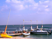 FLAMINGO BEACH RSORT