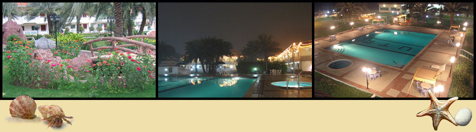 flamingo beach resort